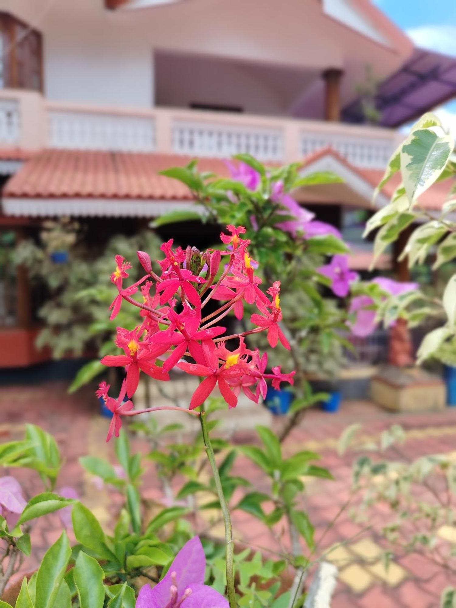 Shivalaya Homestay, Madikeri Siddāpur Eksteriør bilde