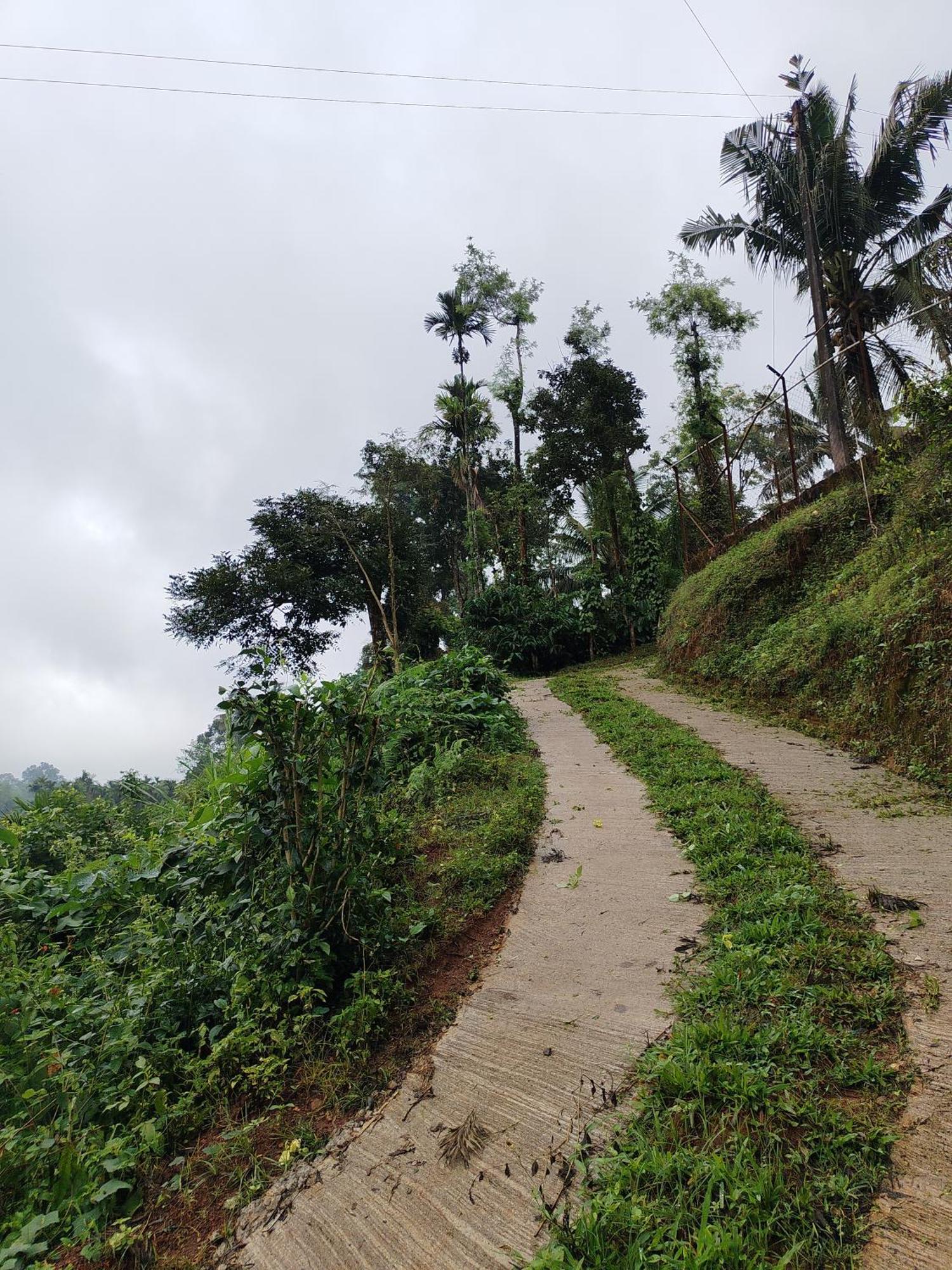 Shivalaya Homestay, Madikeri Siddāpur Eksteriør bilde