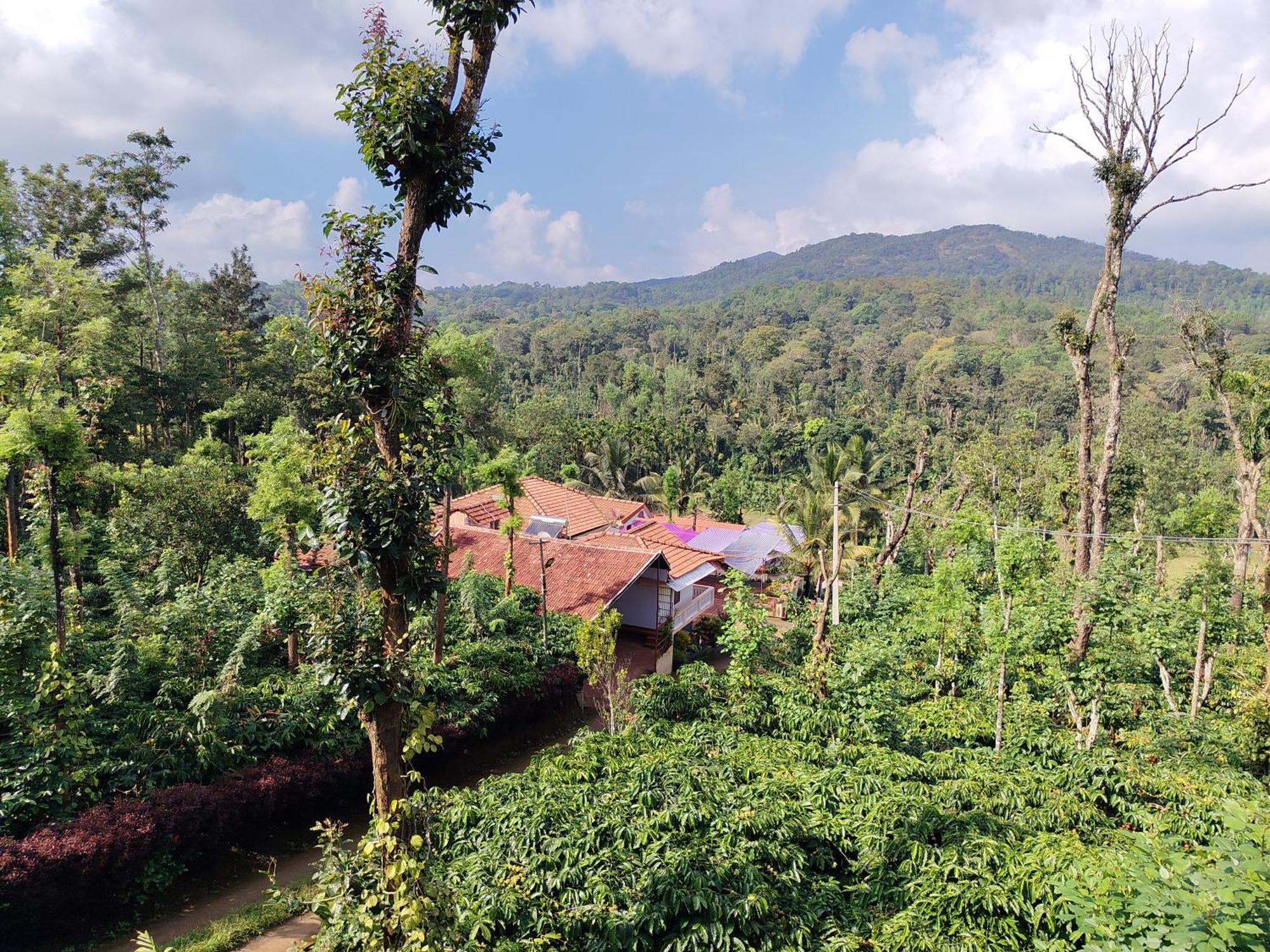 Shivalaya Homestay, Madikeri Siddāpur Eksteriør bilde