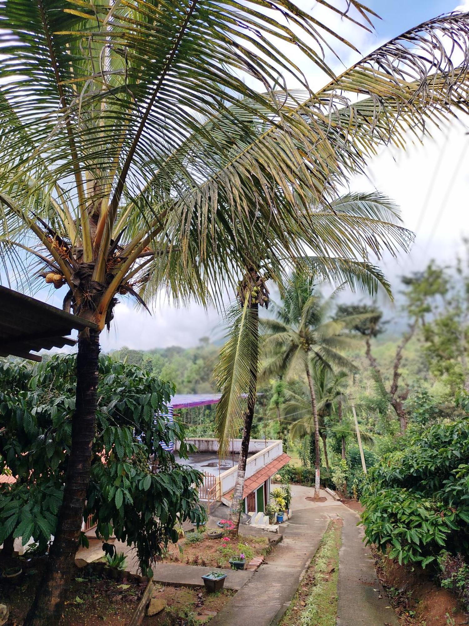 Shivalaya Homestay, Madikeri Siddāpur Eksteriør bilde